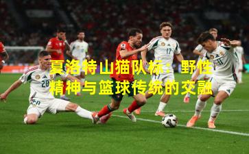 夏洛特山猫队标：野性精神与篮球传统的交融